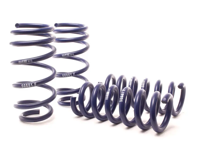 H&R 11-14 Dodge Charger Rt (Awd) Max/Plus V8 Sport Spring 1