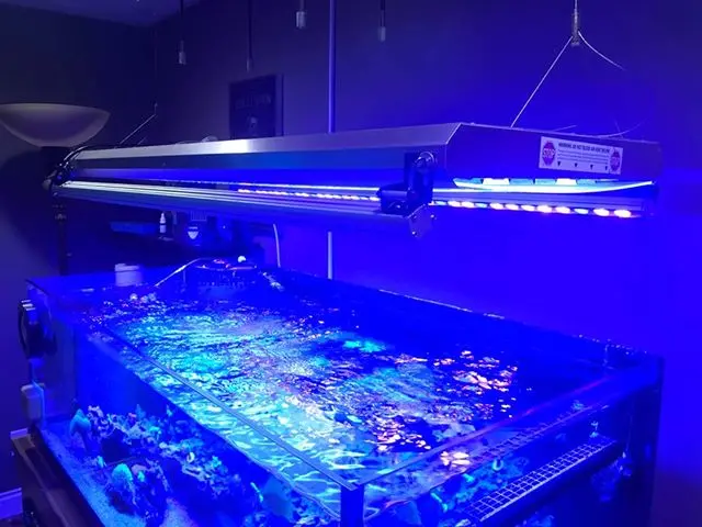 Lumenbar V2 60" 6