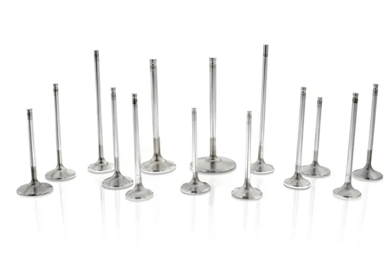 Ferrea High-Performance Intake Valve For Chevrolet Small-Block – 2.055", 5/16" Stem, 12° Seat Angle 1