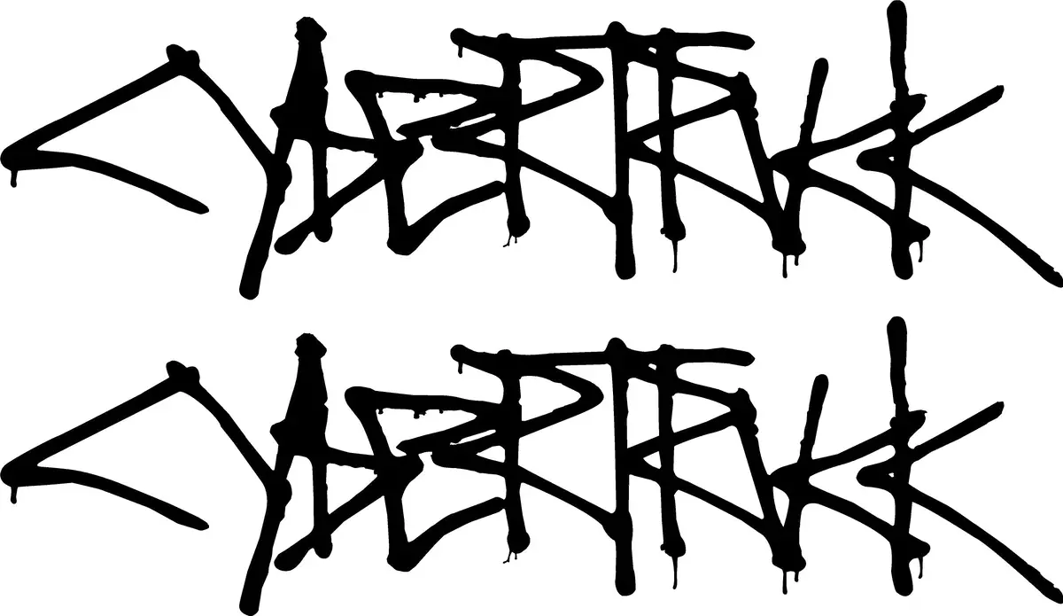 Cybertruck Door Decals For The 2023-2024 Tesla Cybertruck (X2) 1
