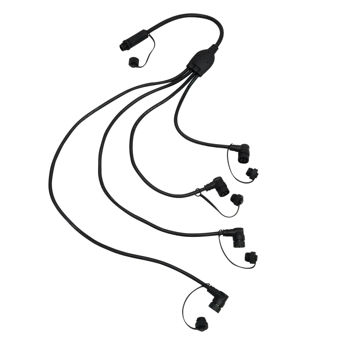 Octo-Cable For Meridian Edge 1