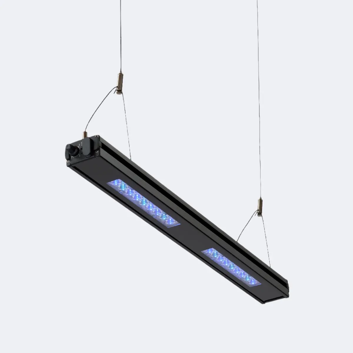 Meridian Hanging Wires 2