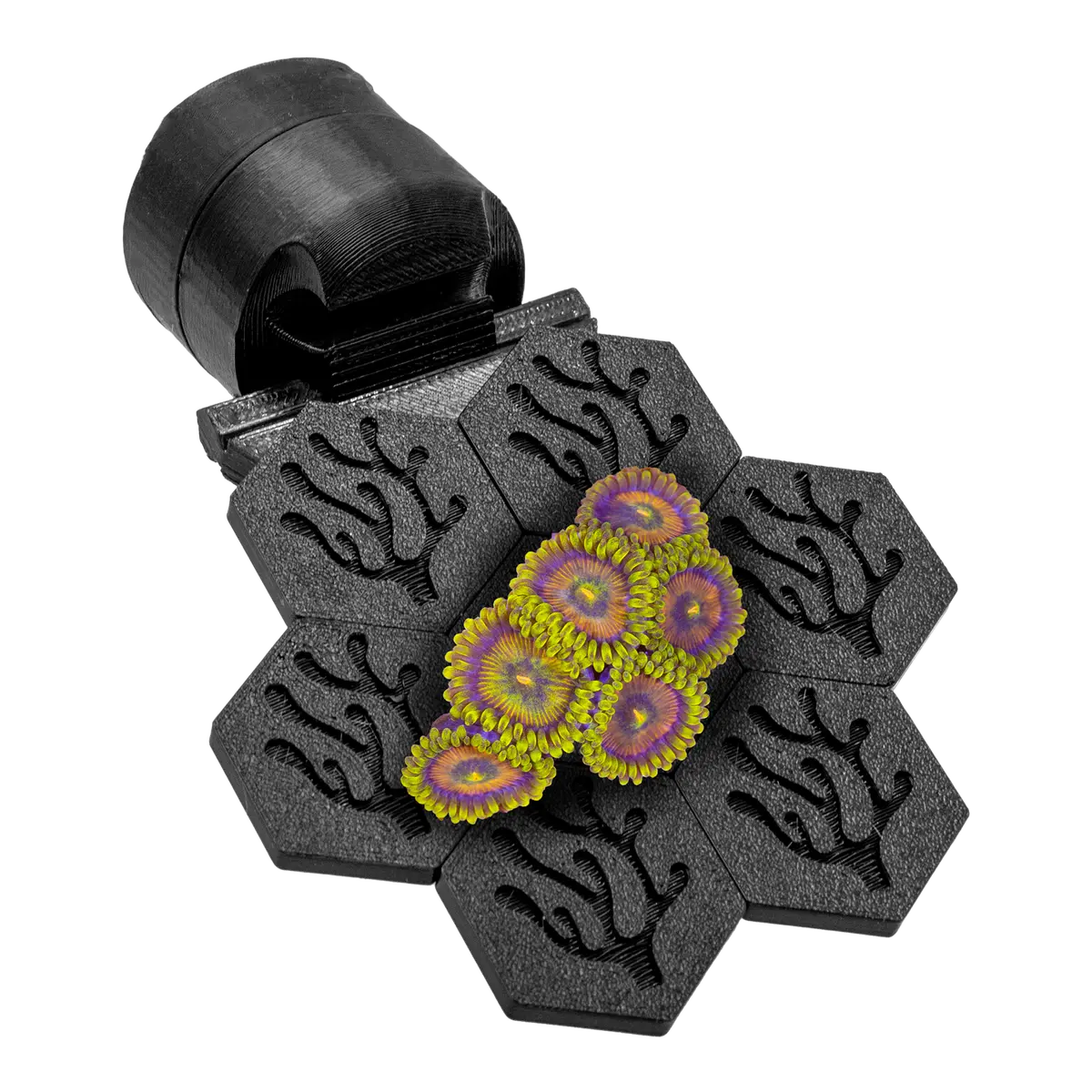 Fragloc™ - Magnetic Coral Frag Grow-Out Kit 1