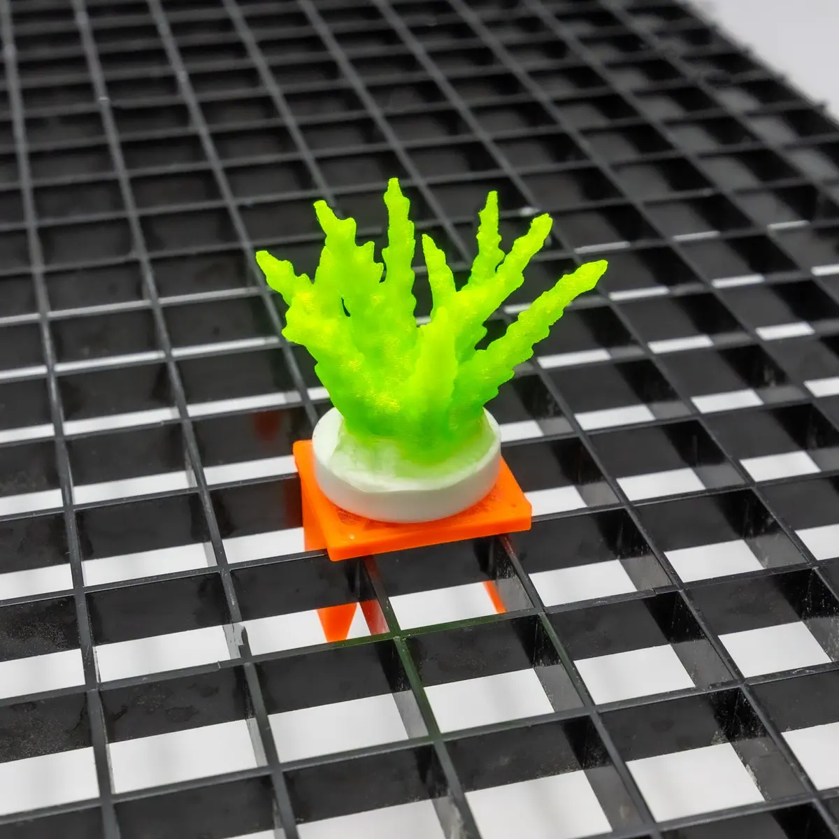 Fragloc™ – Egg Crate Snap-In Frag Plug Holders (Pack Of 5) 1