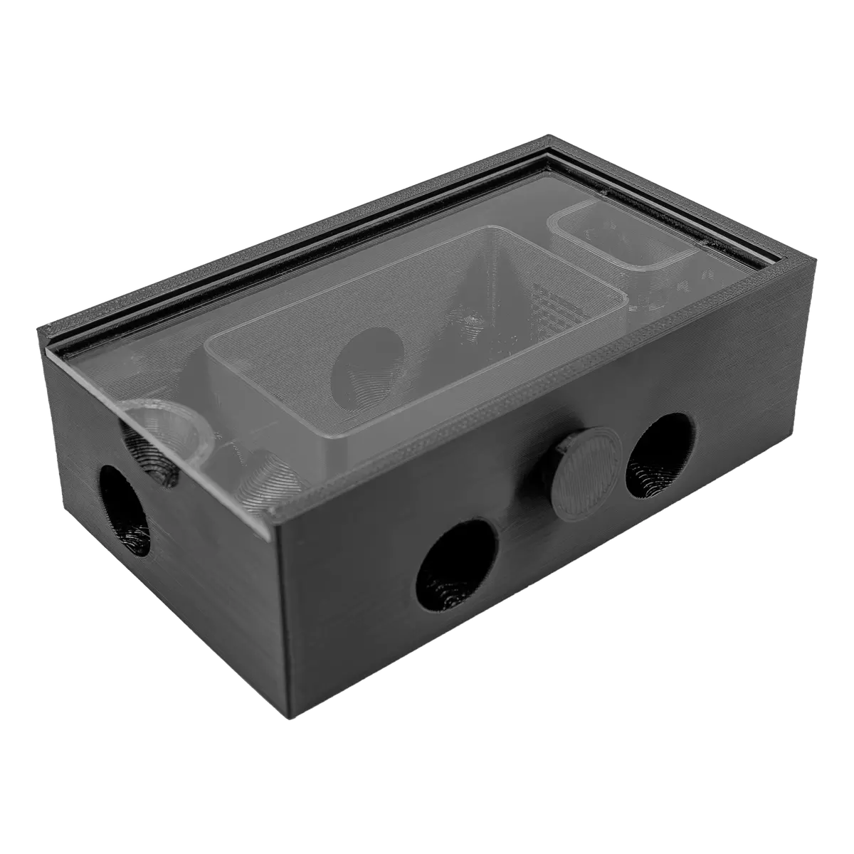 Bristle Worm Trap 1