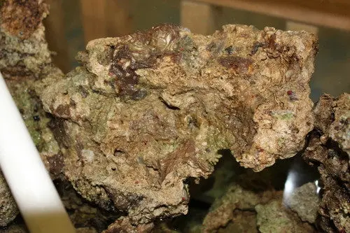 Live Rock - (Fully Cured, From Established System) 1