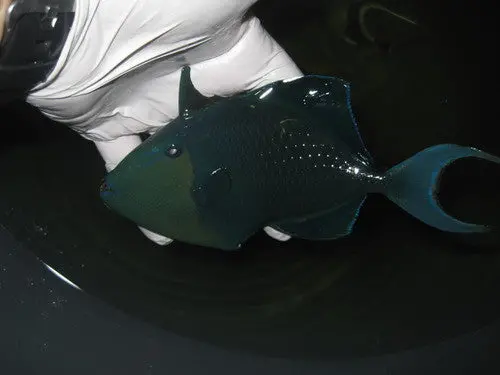 Niger Trigger-6" 1