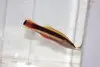 Wrasse Bass | Liopropoma Eukrines 1