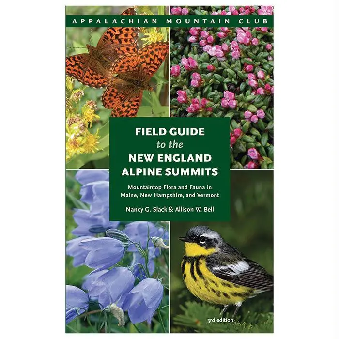 Amc Fg New England Summits 3Ed 1
