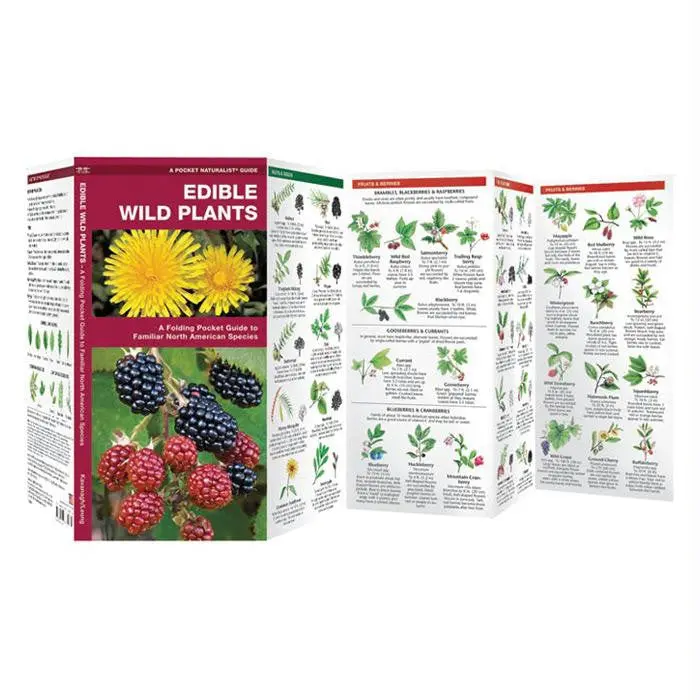 Edible Wild Plants 1