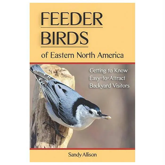 Feeder Birds Of Eastern N Amer 1