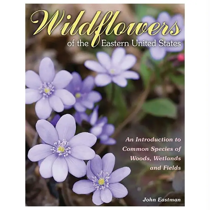 Wildflowers Of The Eastern Us 1