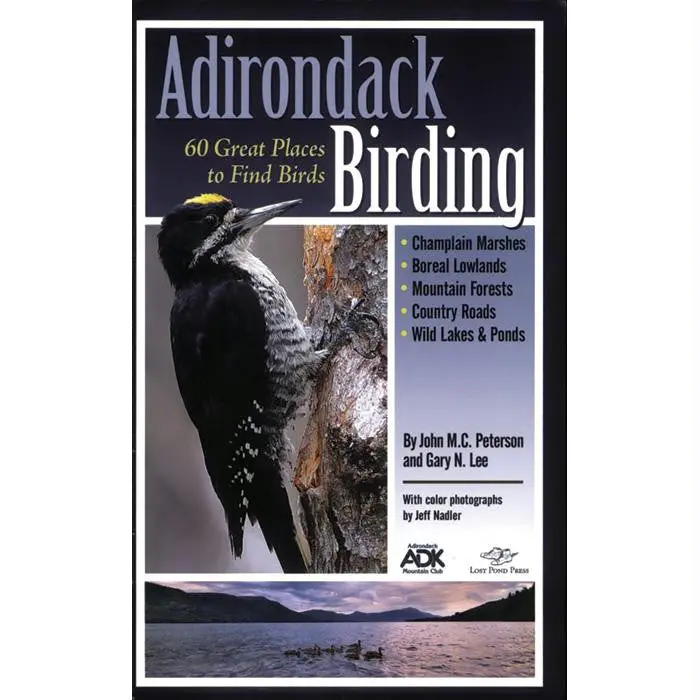 Adirondack Birding 1