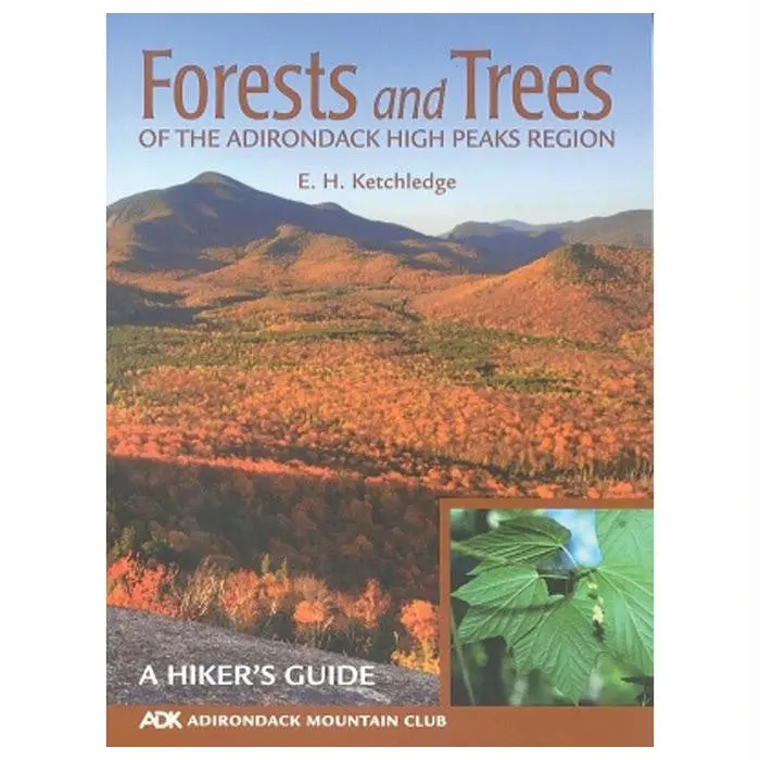 Forest & Trees Adk High Peaks 1