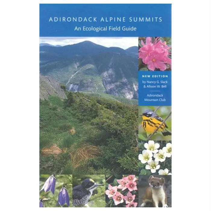 Adk Alpine Summits 1