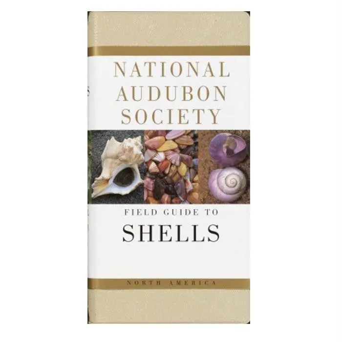 Audbn Fg: Seashells 1