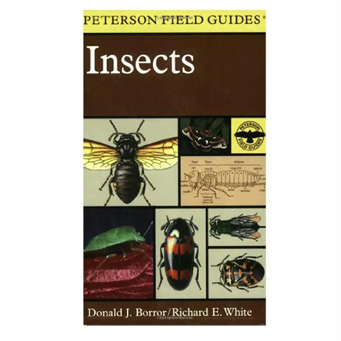 Field Guide To Insects 1