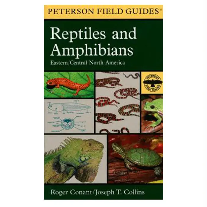Reptiles & Amphibians: East 1