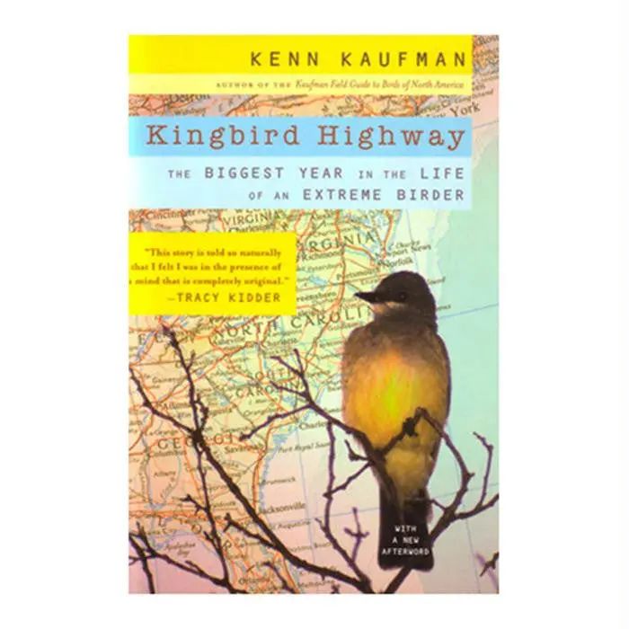 Kingbird Highway 1
