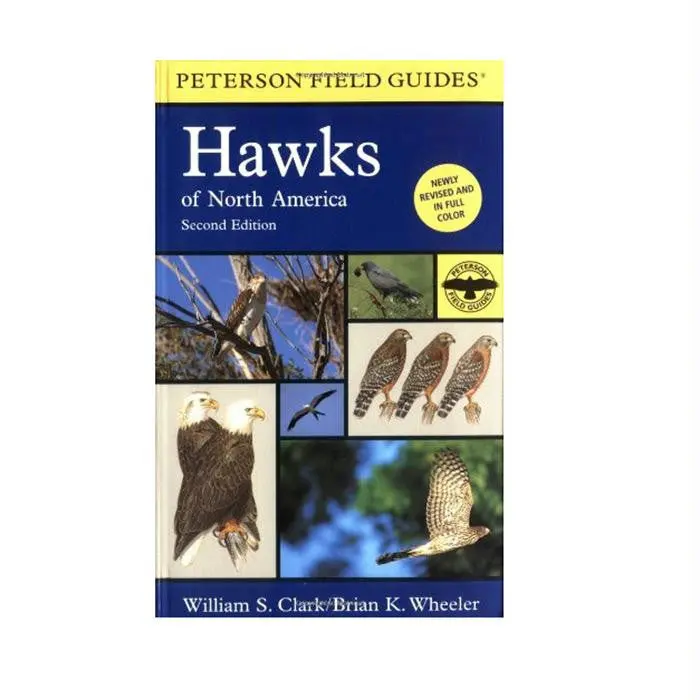 Hawks Of North America 1