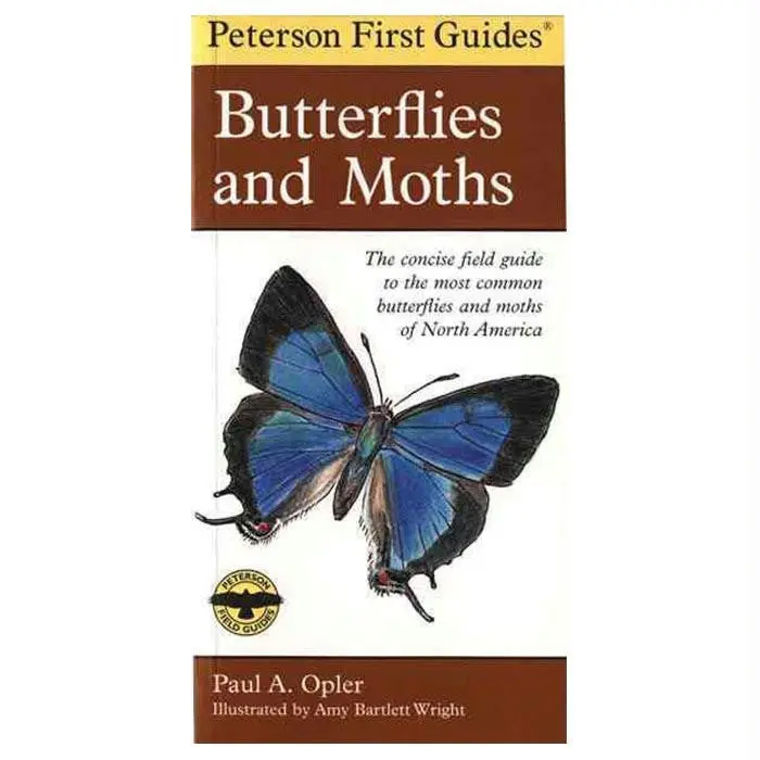 First Guide To Butterflies 1