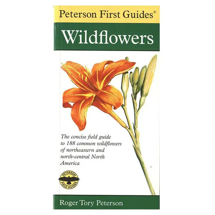 First Guide Wildflowers 1