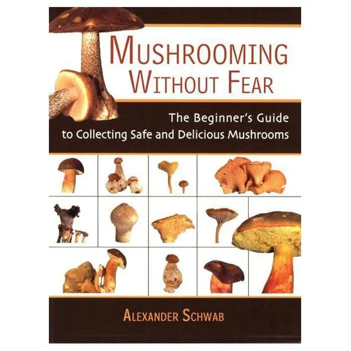 Mushrooming Without Fear 1