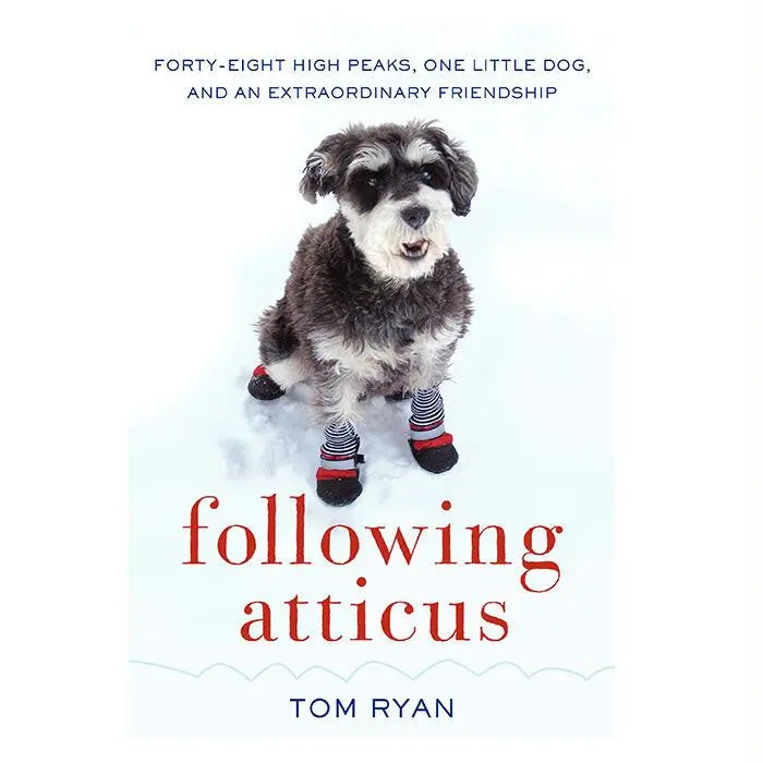Following Atticus 1