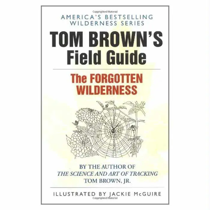 Fg: The Forgotten Wilderness 1