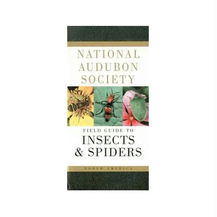 Audbn Fg: Insects & Spiders 1