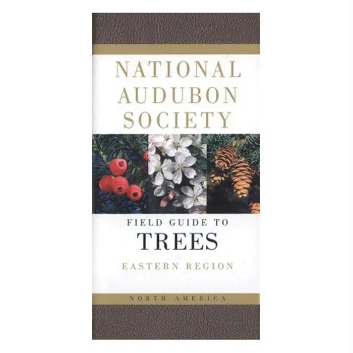 Audbn Fg: Trees-Eastern 1