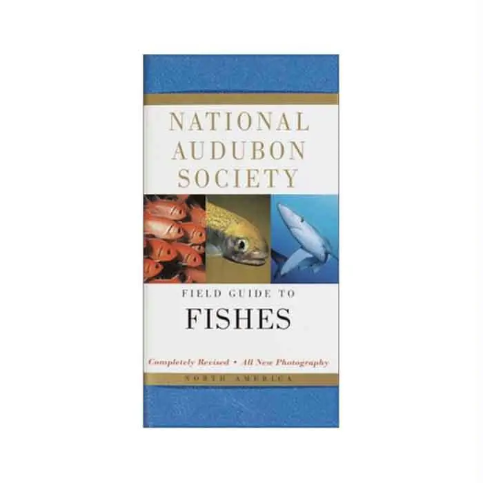 Audbn Fg: Fishes N.A. 1