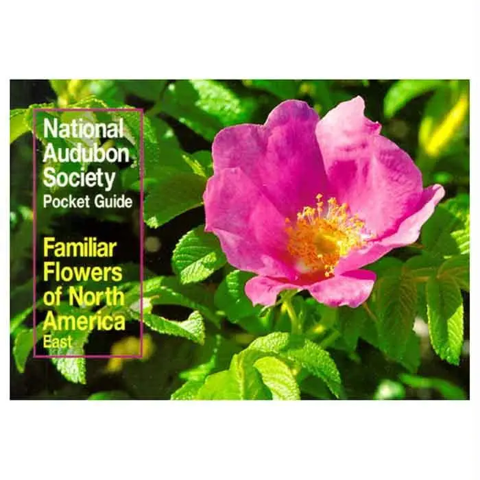 Audbn Pg: Familiar Flower East 1
