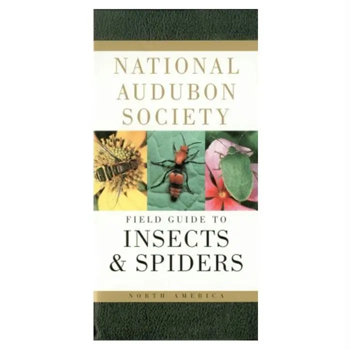 Audbn Pg: Insects & Spider 1