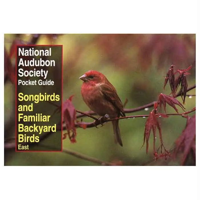 Audbn Pg: Song & Bckyard Birds 1