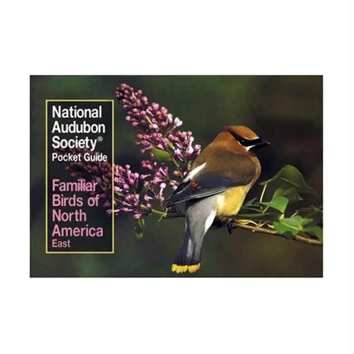 Audbn Pg: Familiar Birds East 1