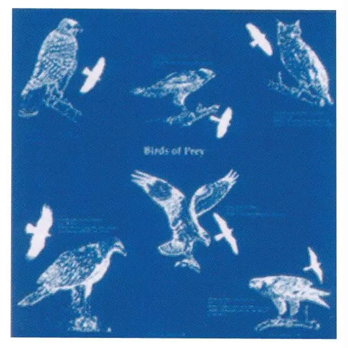 Birds Of Prey Bandana 1