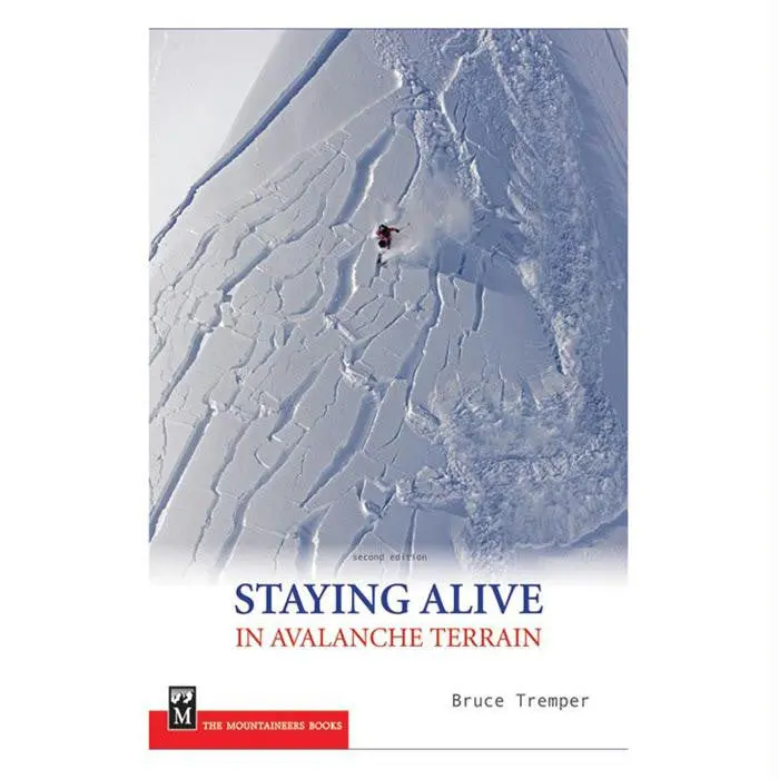 Stayng Alive Avalanche Terrain 1