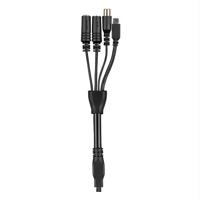 Virb 10 Pin Mini Usb Aud-Vid C 1