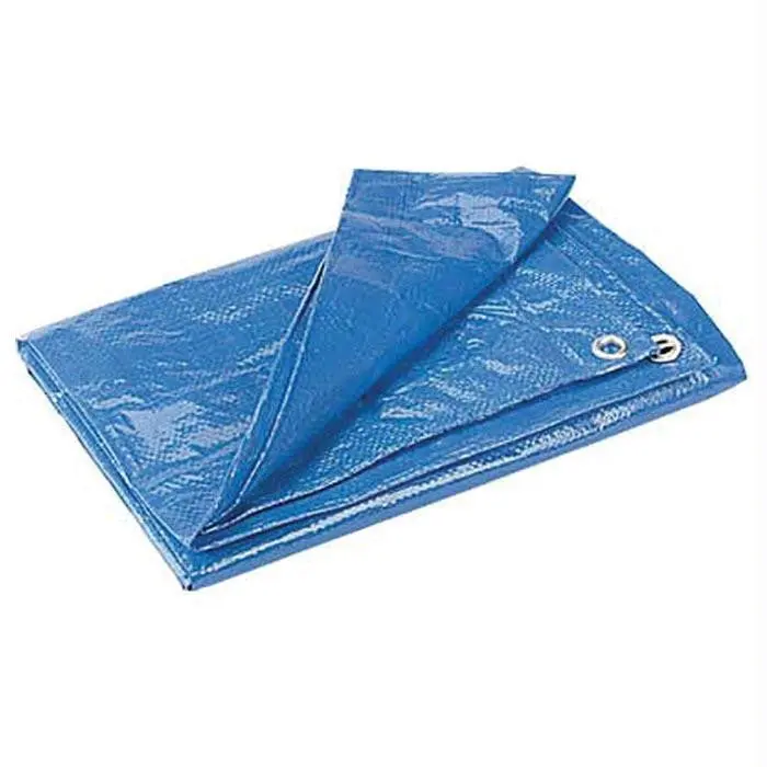 Blue Poly Tarp 10' X 12' 1