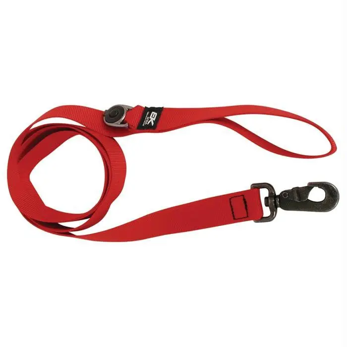 Big Wolf Leash W-Led Light 1