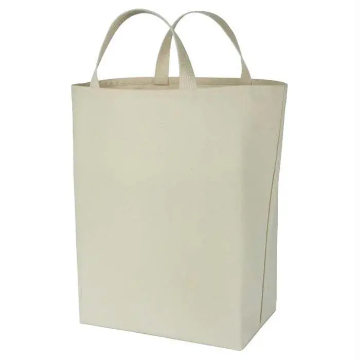 Canvas Grocery Bag - Plain 1