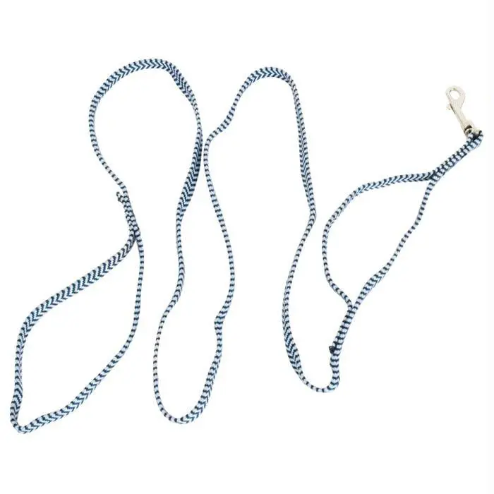 Spectra Web  Dog Leash- Asst. 1
