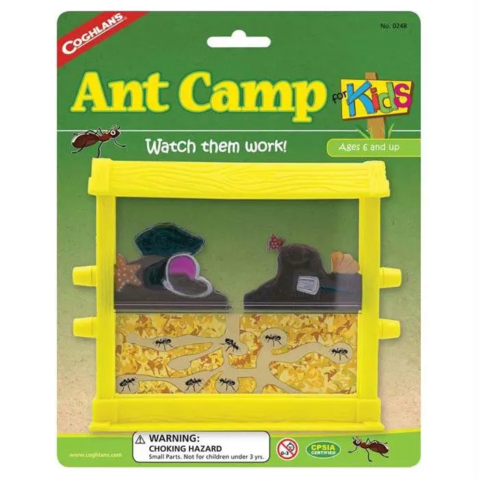 Ant Camp For Kids 1