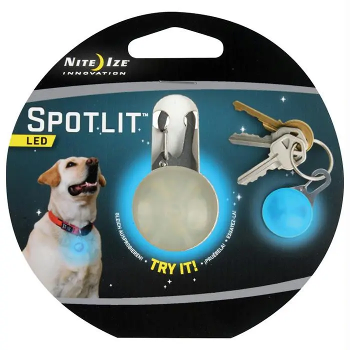 Spotlit Dog Blue 1