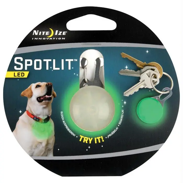 Spotlit Dog Green 1