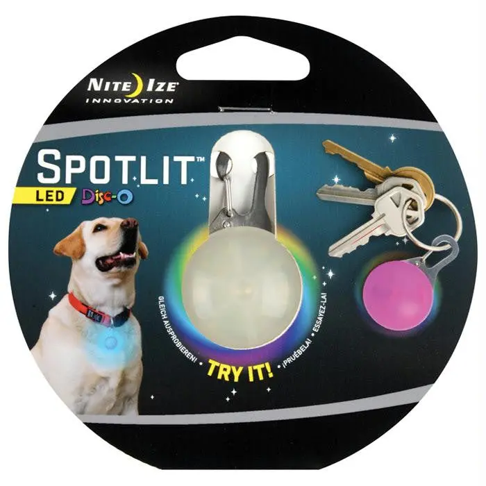 Spotlit Dog Disco 1