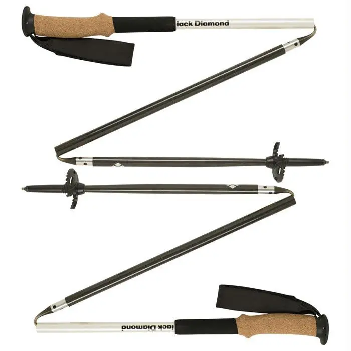 Alpine Carbon Z Blk 110 Cm 1