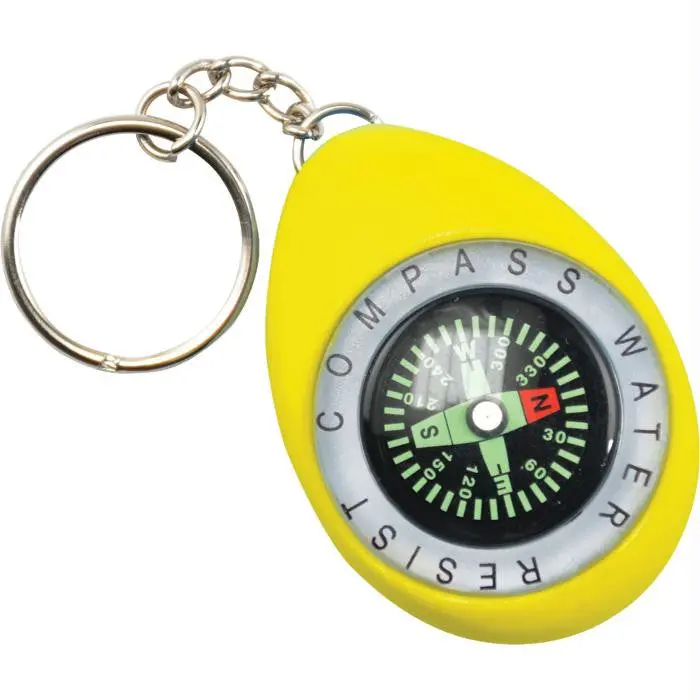 Color Compass - Yellow 1