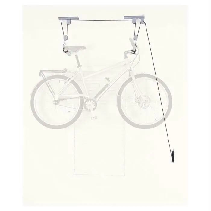 El Greco Ceiling Hoist 1